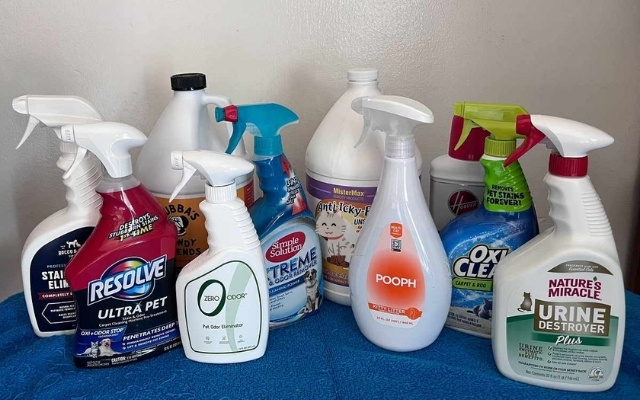 Cat Pee Remover Products From the Concrete Floor